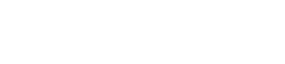 Copy of bestit_logo_cmyk_white